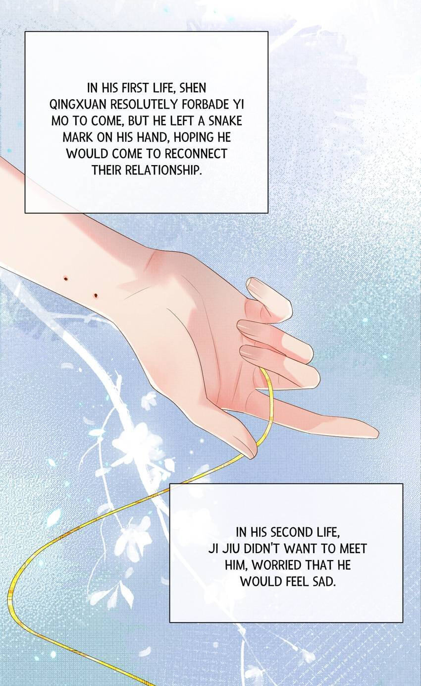 From the Serpent