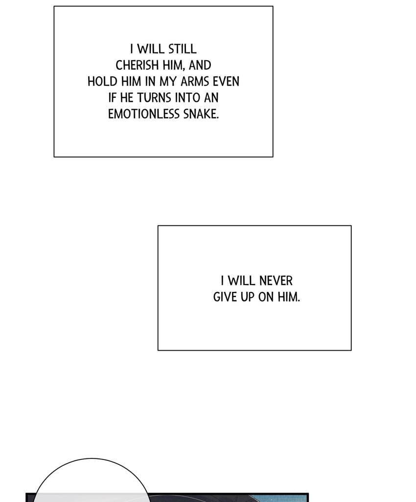 From the Serpent