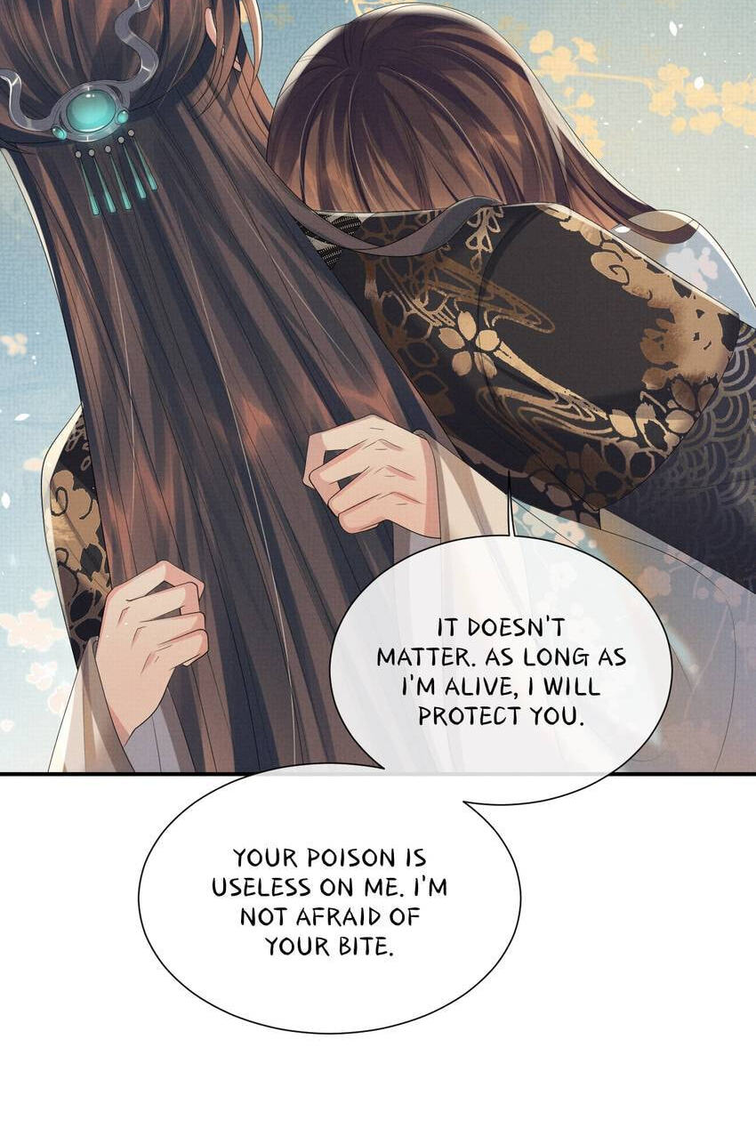 From the Serpent