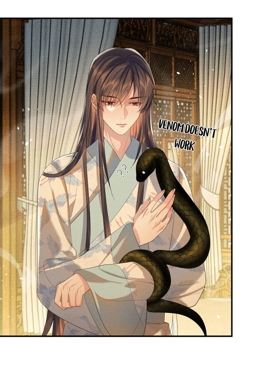 From the Serpent
