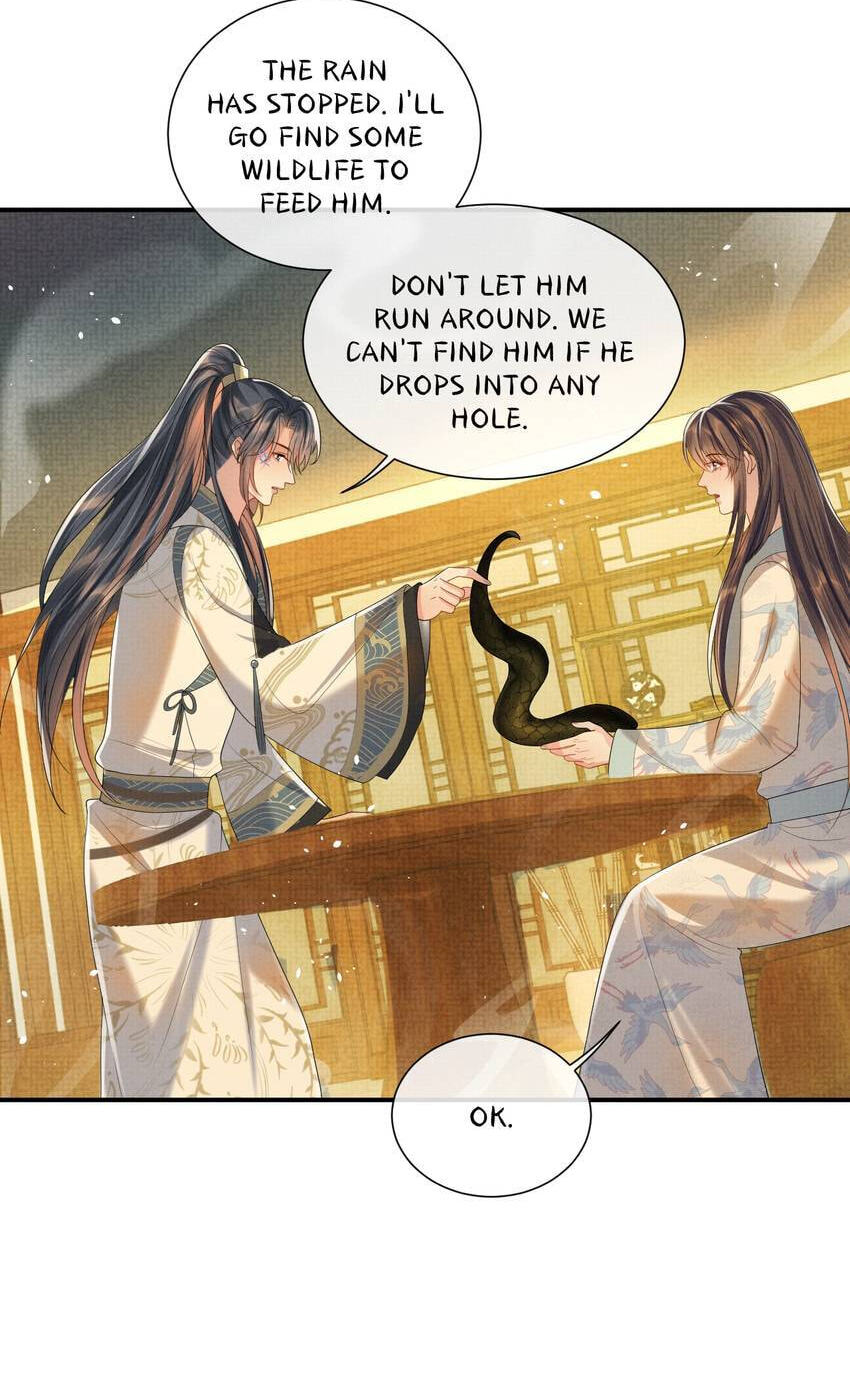 From the Serpent