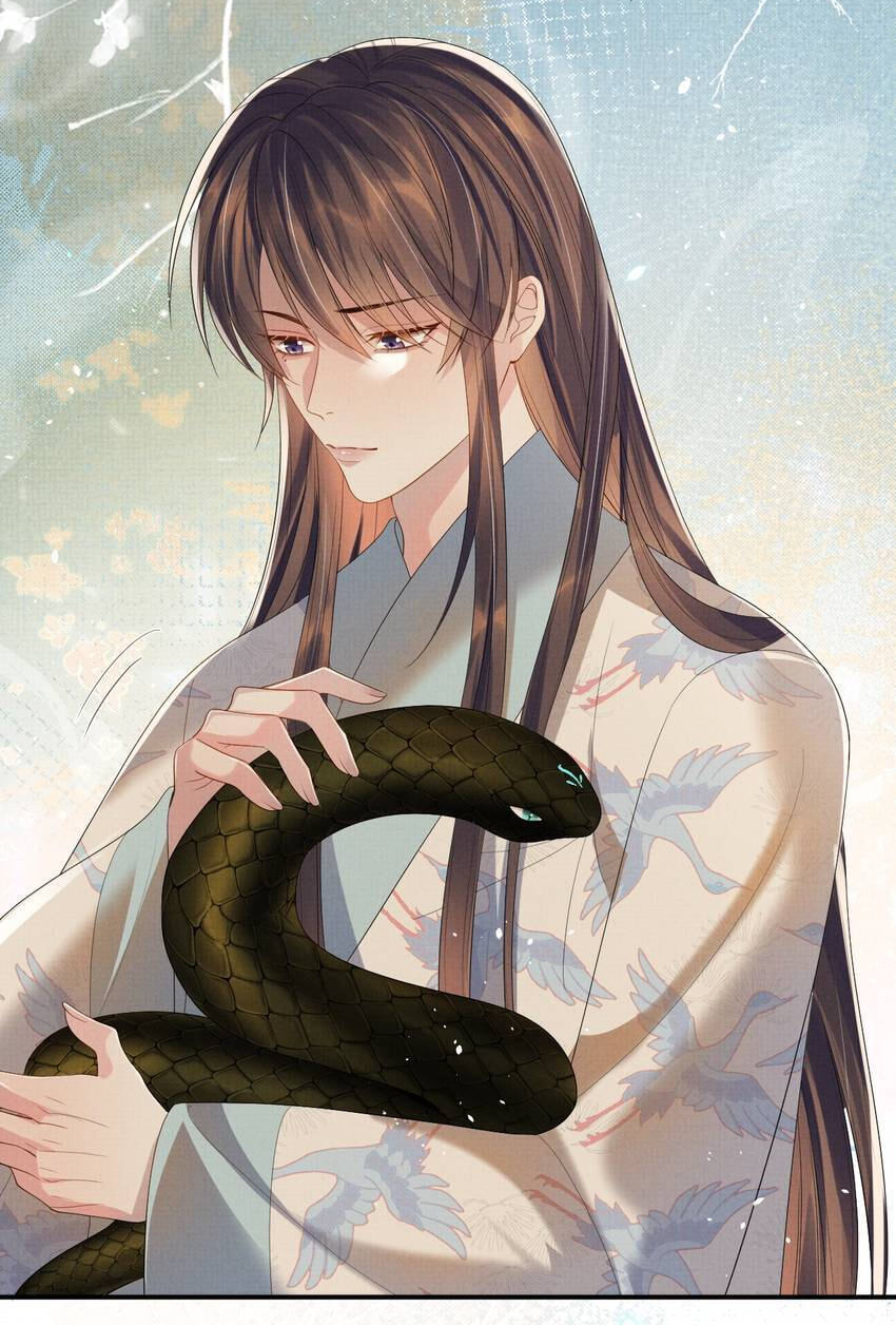 From the Serpent