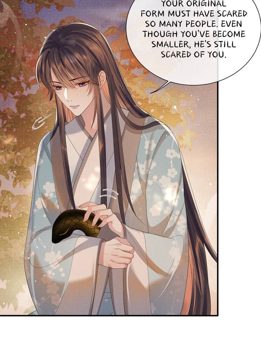 From the Serpent