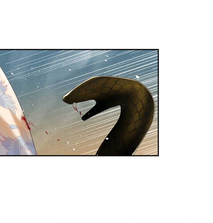 From the Serpent
