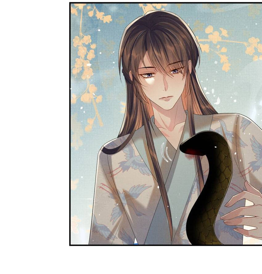 From the Serpent