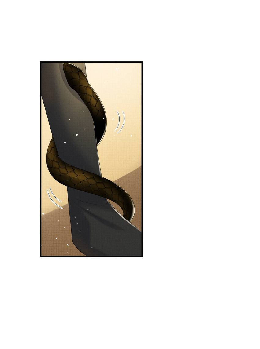 From the Serpent