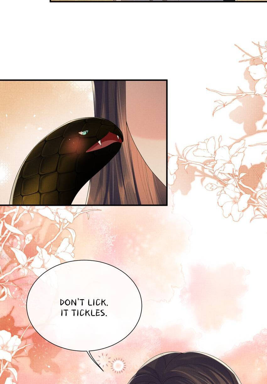 From the Serpent