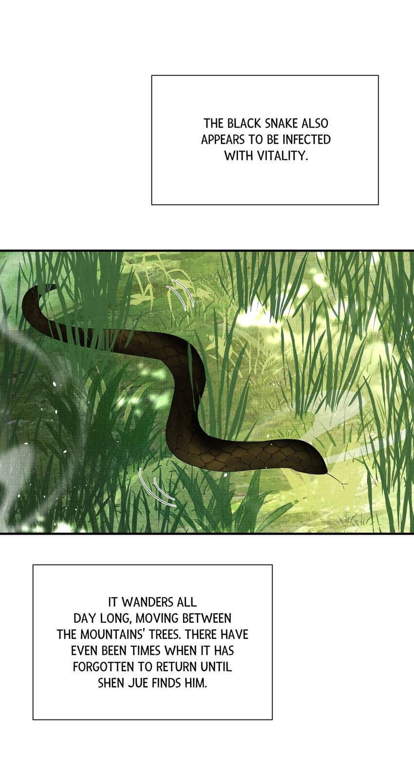 From the Serpent