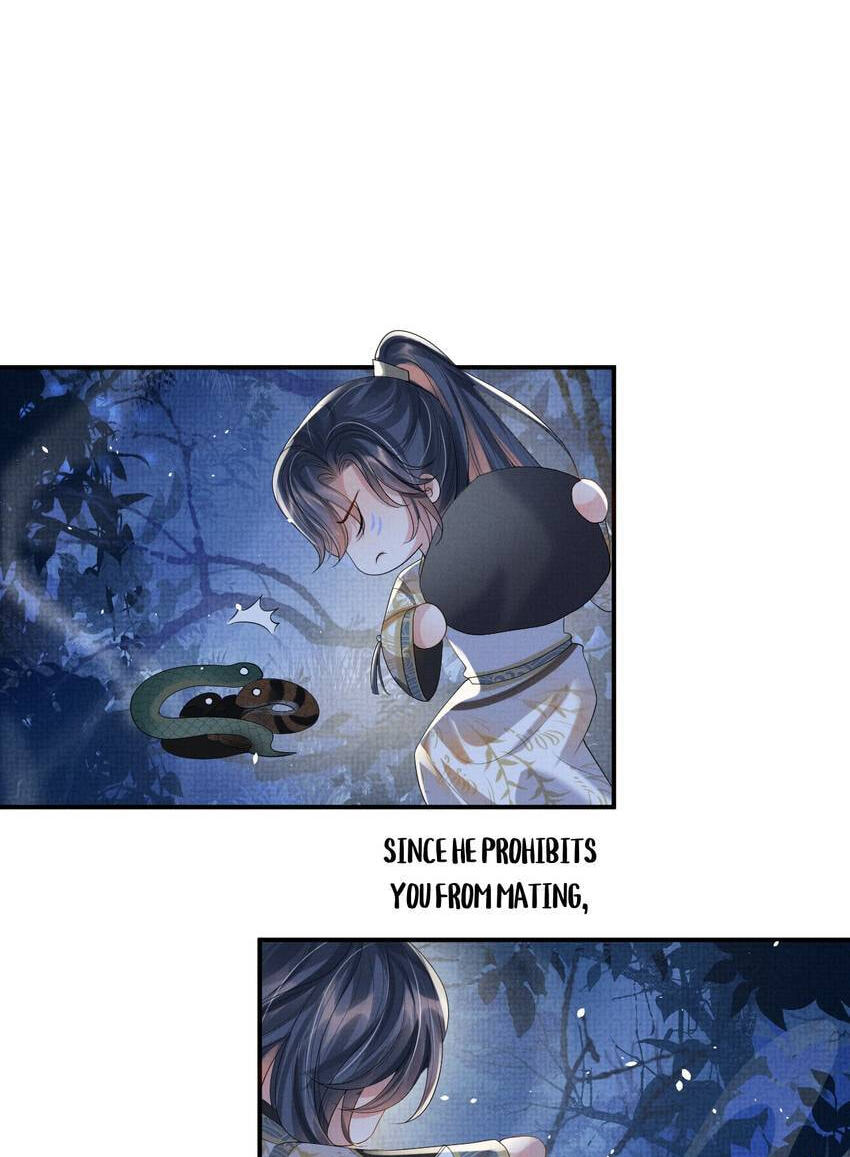 From the Serpent