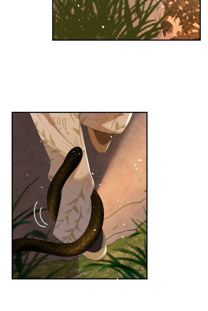 From the Serpent