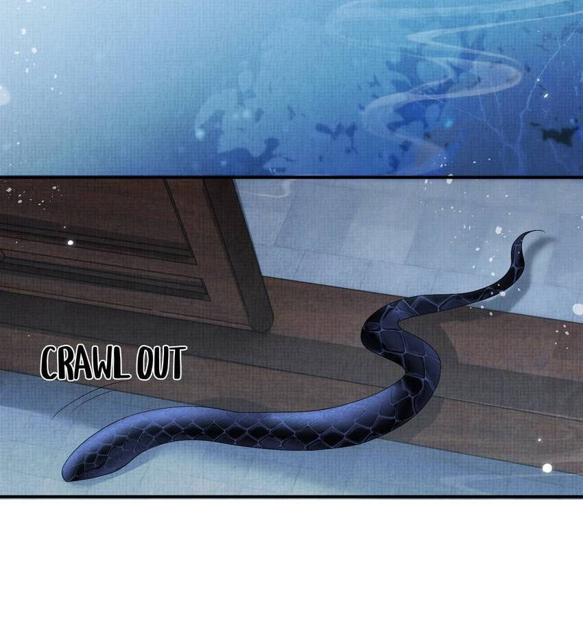 From the Serpent