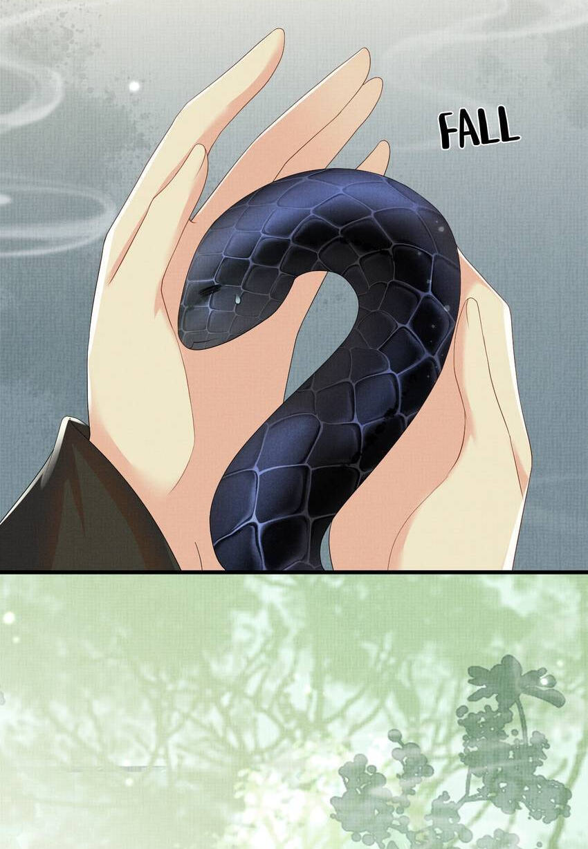 From the Serpent