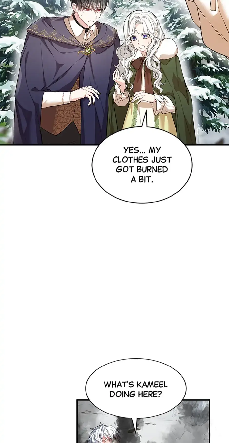 Frozen Wolf, Fire Dragon Chapter 27 page 12 - 