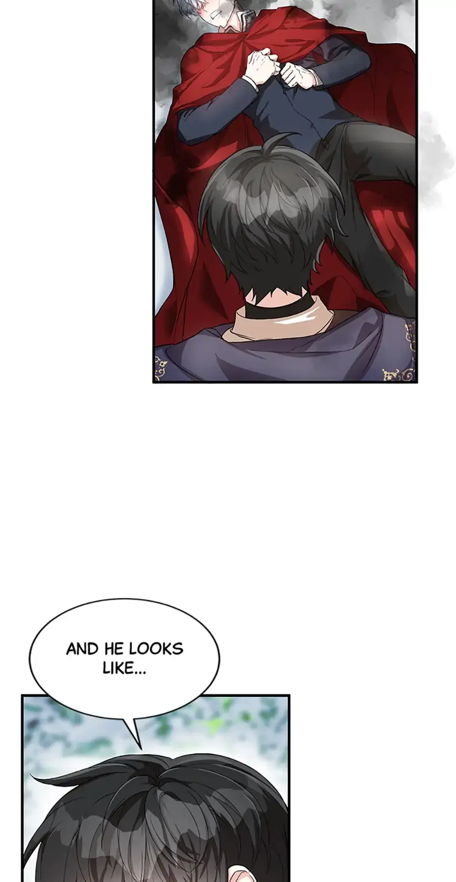 Frozen Wolf, Fire Dragon Chapter 27 page 13 - 