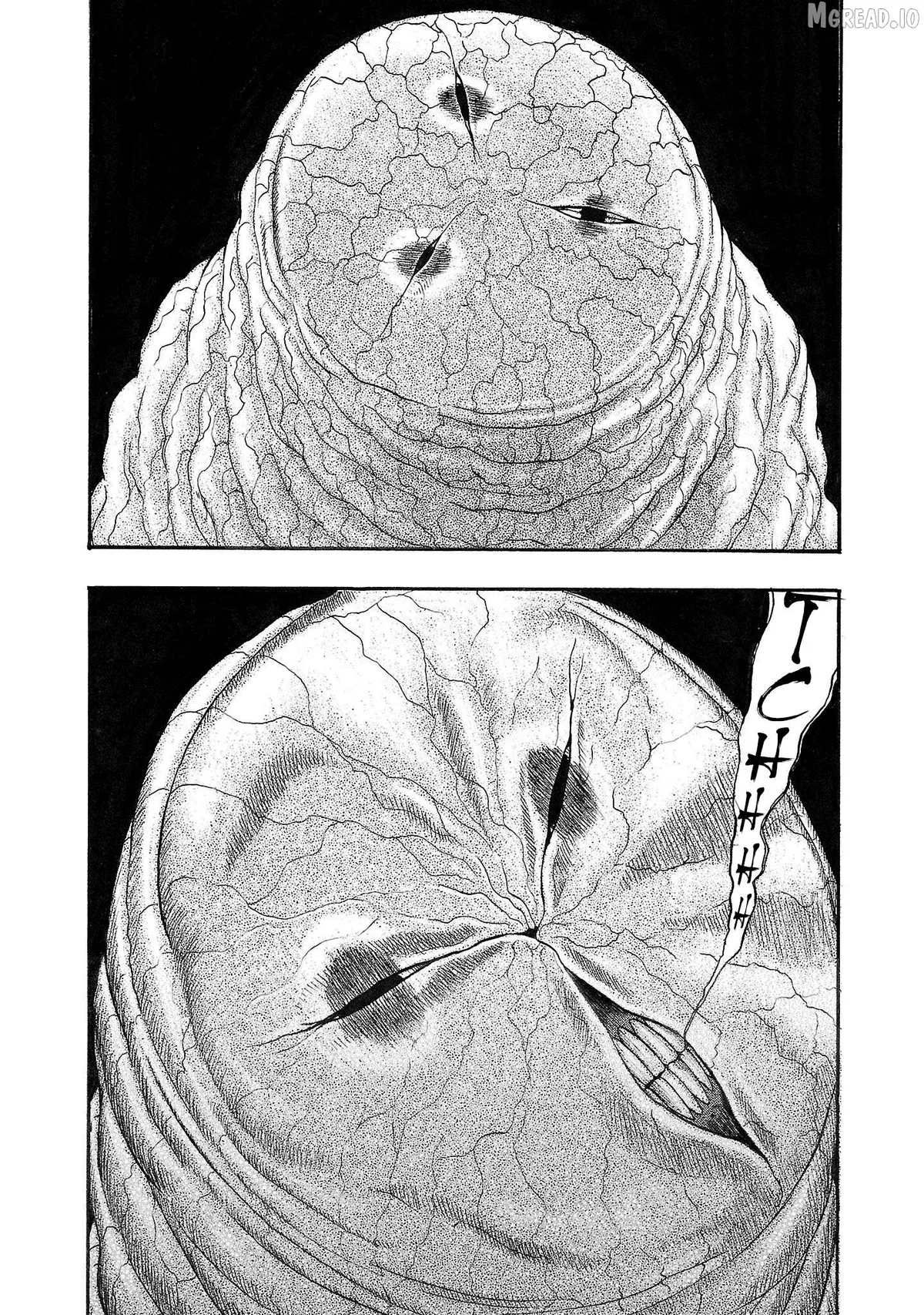Fuan no Tane Plus Chapter 240 page 5 - 
