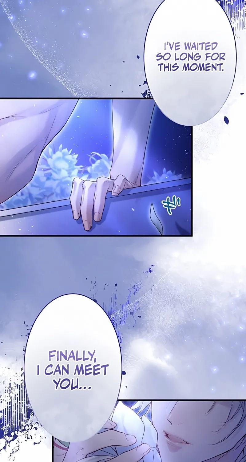 Fuguu no Hanayome wa, Utsukushiki Ryuu Ou ni Ubawareru Chapter 1 page 8 - 