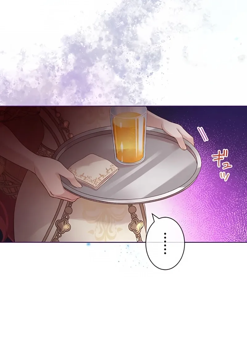 Fuguu no Hanayome wa, Utsukushiki Ryuu Ou ni Ubawareru Chapter 11 page 28 - 