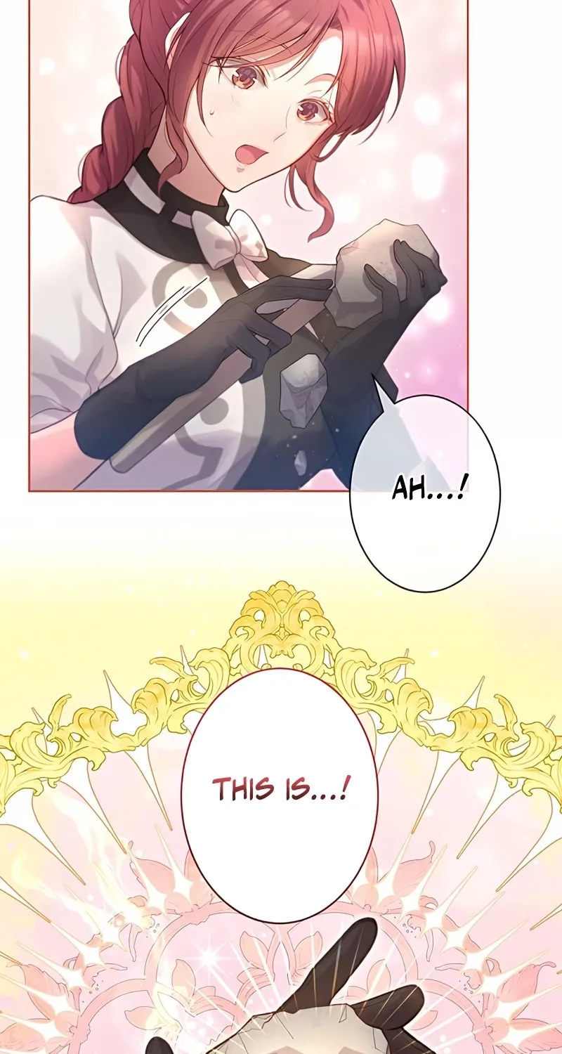 Fuguu no Hanayome wa, Utsukushiki Ryuu Ou ni Ubawareru Chapter 12 page 66 - 