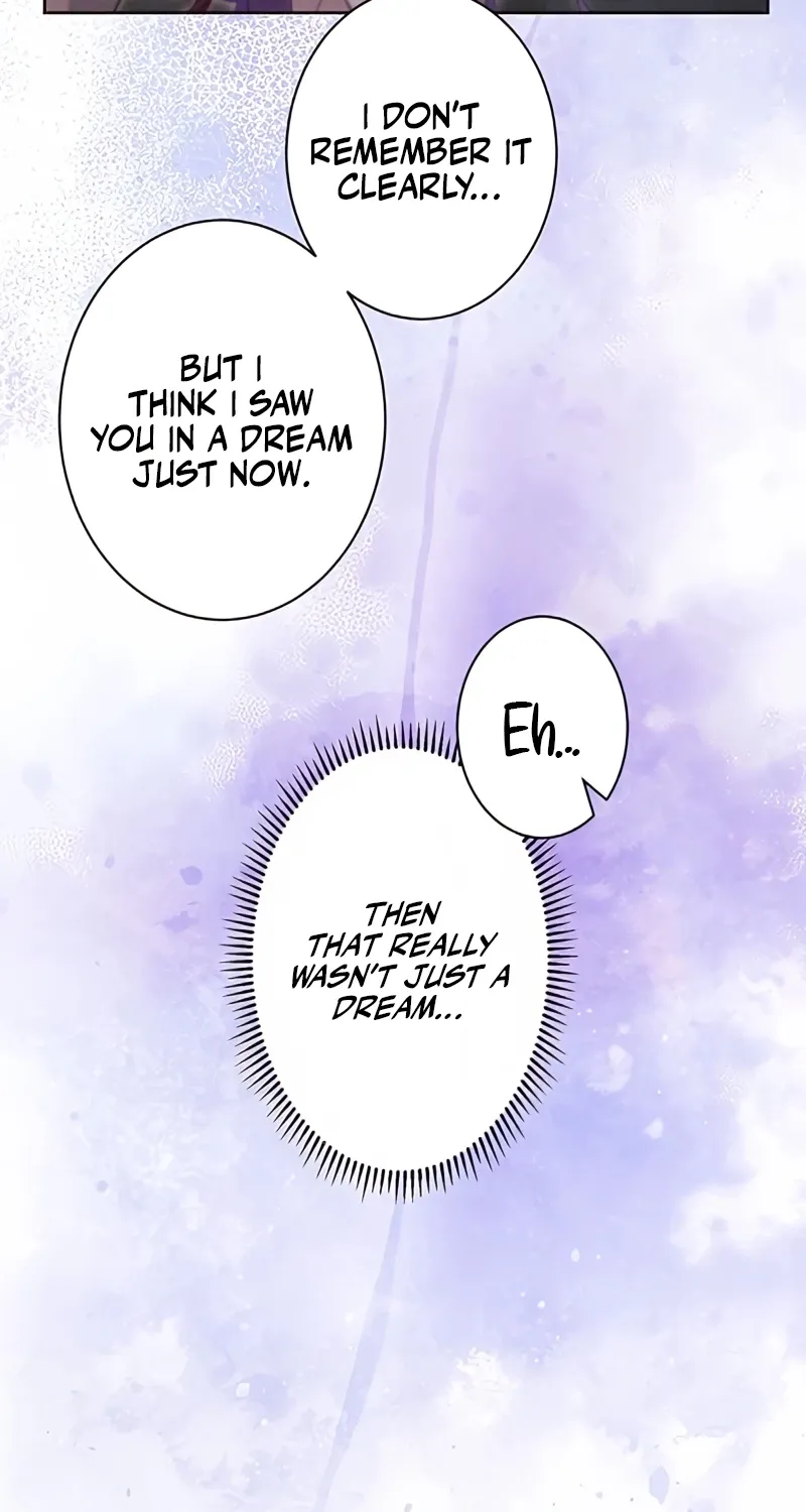 Fuguu no Hanayome wa, Utsukushiki Ryuu Ou ni Ubawareru Chapter 13 page 95 - 