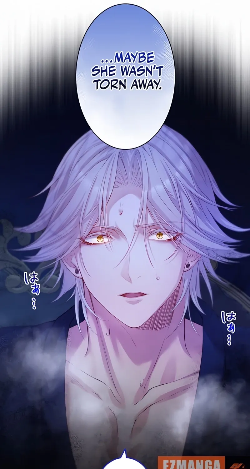 Fuguu no Hanayome wa, Utsukushiki Ryuu Ou ni Ubawareru Chapter 15 page 29 - 