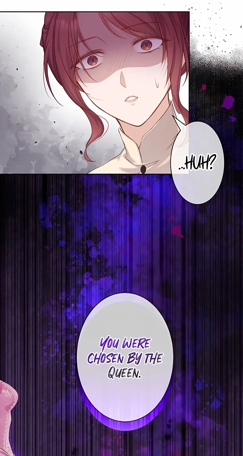 Fuguu no Hanayome wa, Utsukushiki Ryuu Ou ni Ubawareru Chapter 2 page 25 - 