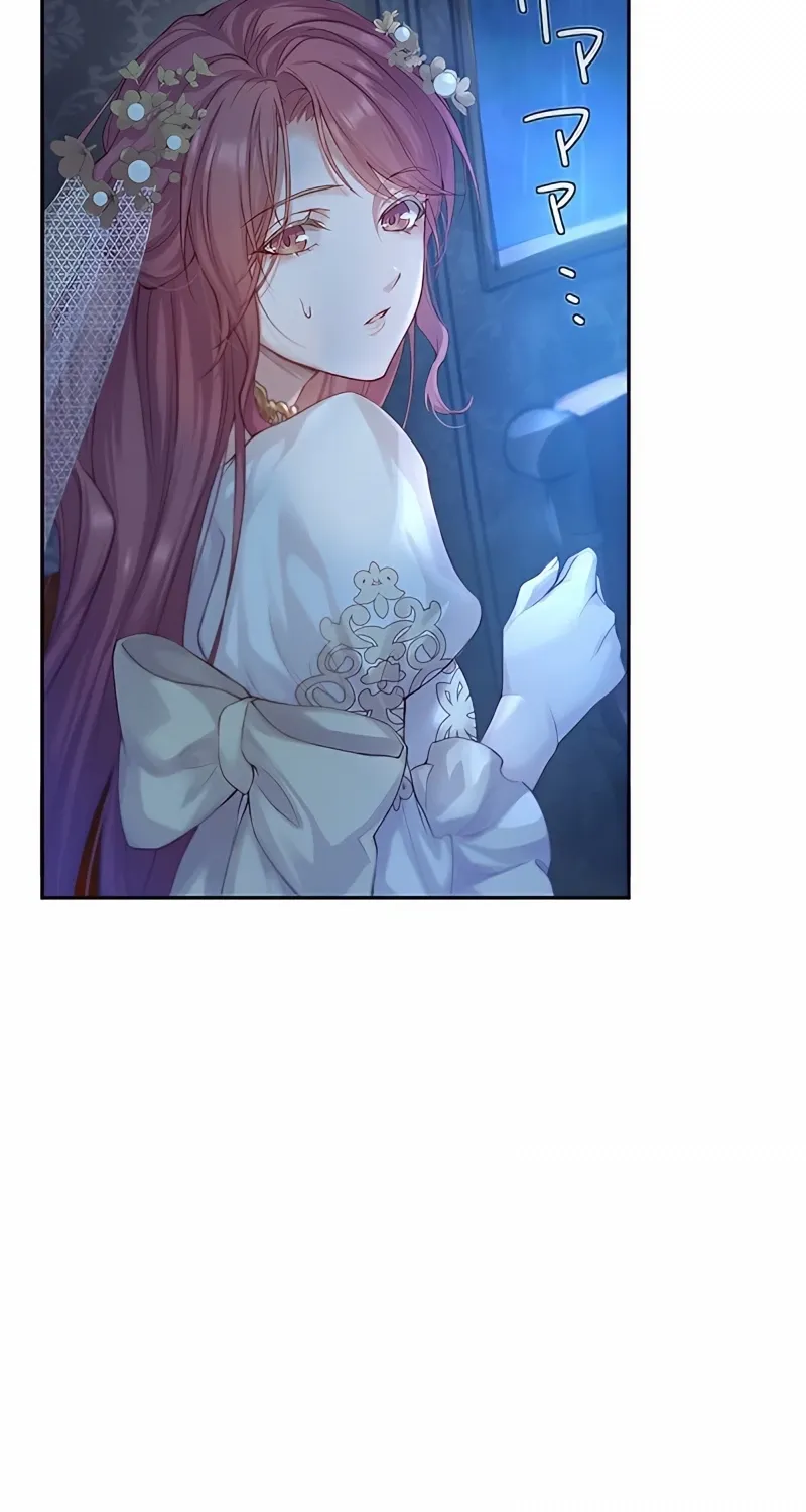 Fuguu no Hanayome wa, Utsukushiki Ryuu Ou ni Ubawareru Chapter 2 page 66 - 
