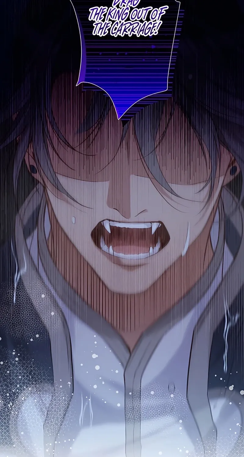 Fuguu no Hanayome wa, Utsukushiki Ryuu Ou ni Ubawareru Chapter 2 page 71 - 