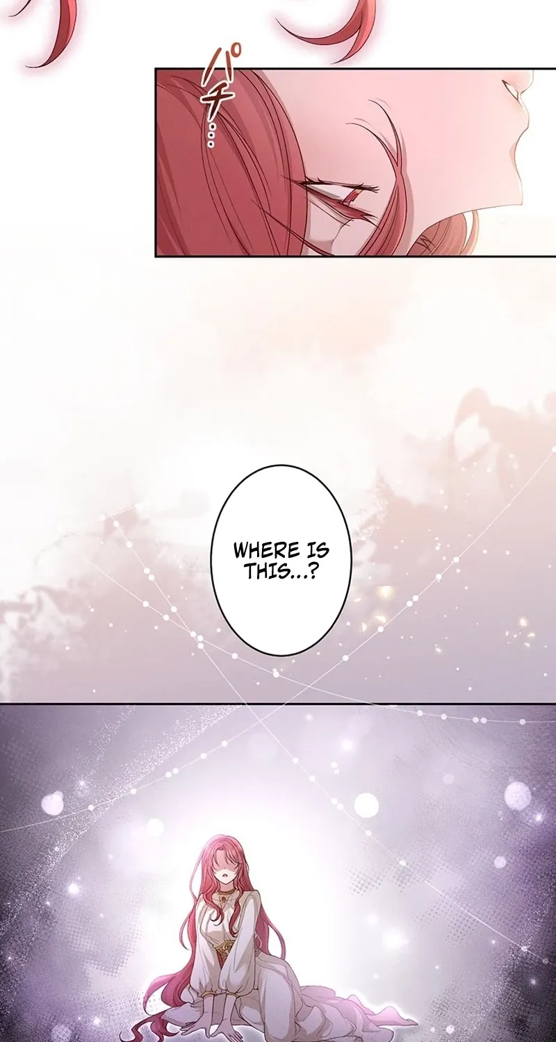 Fuguu no Hanayome wa, Utsukushiki Ryuu Ou ni Ubawareru Chapter 23 page 4 - 