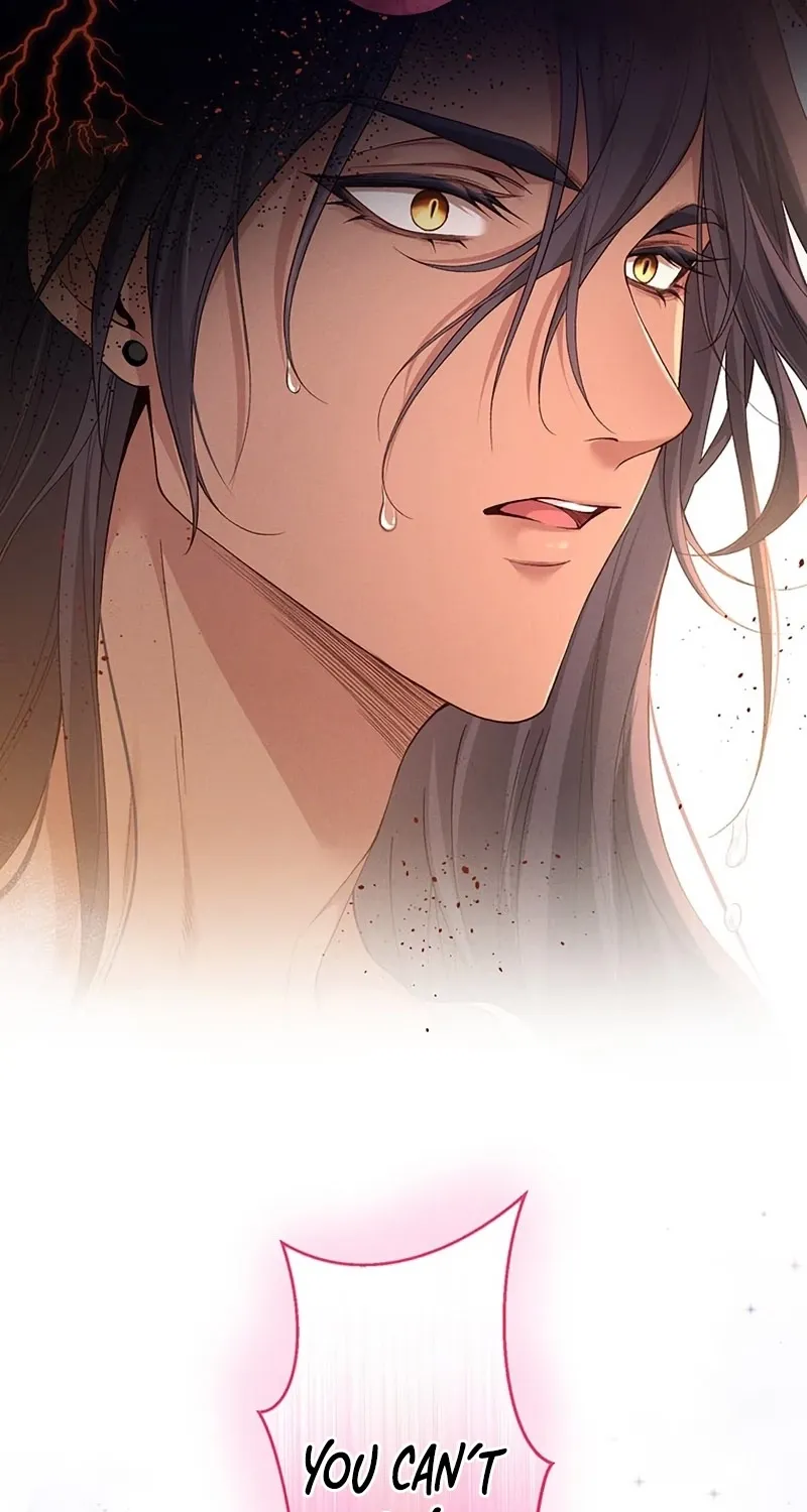 Fuguu no Hanayome wa, Utsukushiki Ryuu Ou ni Ubawareru Chapter 23 page 43 - 