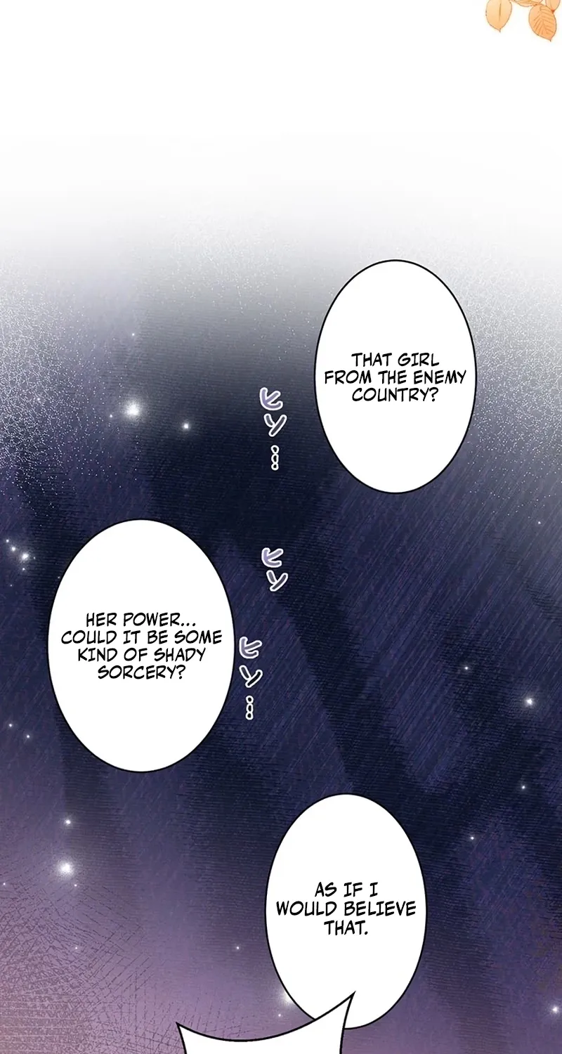 Fuguu no Hanayome wa, Utsukushiki Ryuu Ou ni Ubawareru Chapter 24 page 14 - 