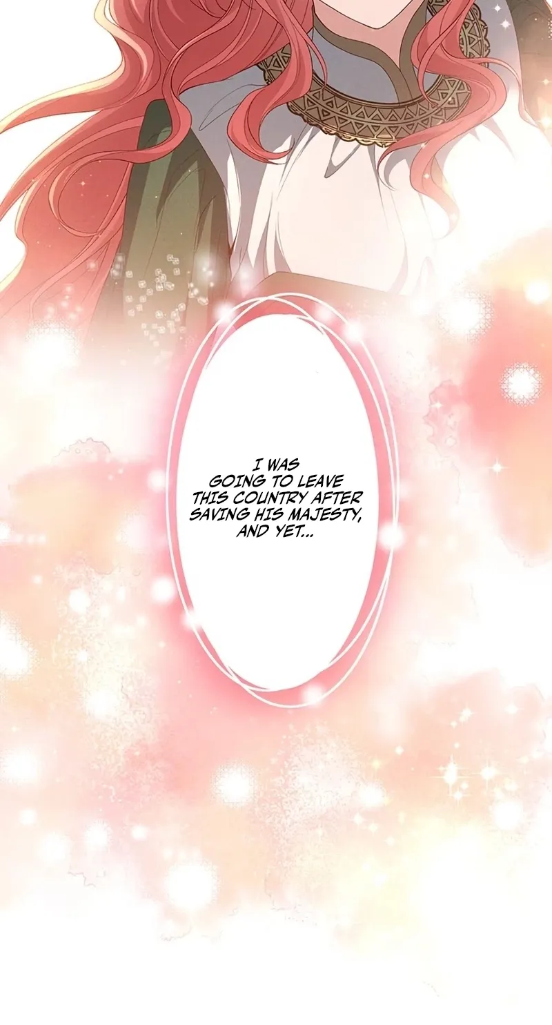 Fuguu no Hanayome wa, Utsukushiki Ryuu Ou ni Ubawareru Chapter 24 page 26 - 