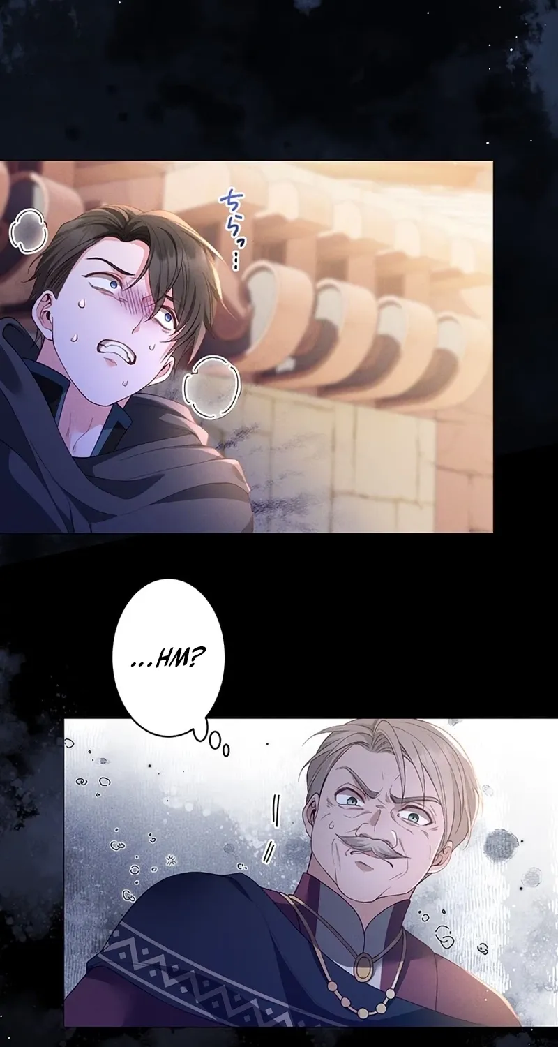 Fuguu no Hanayome wa, Utsukushiki Ryuu Ou ni Ubawareru Chapter 24 page 45 - 