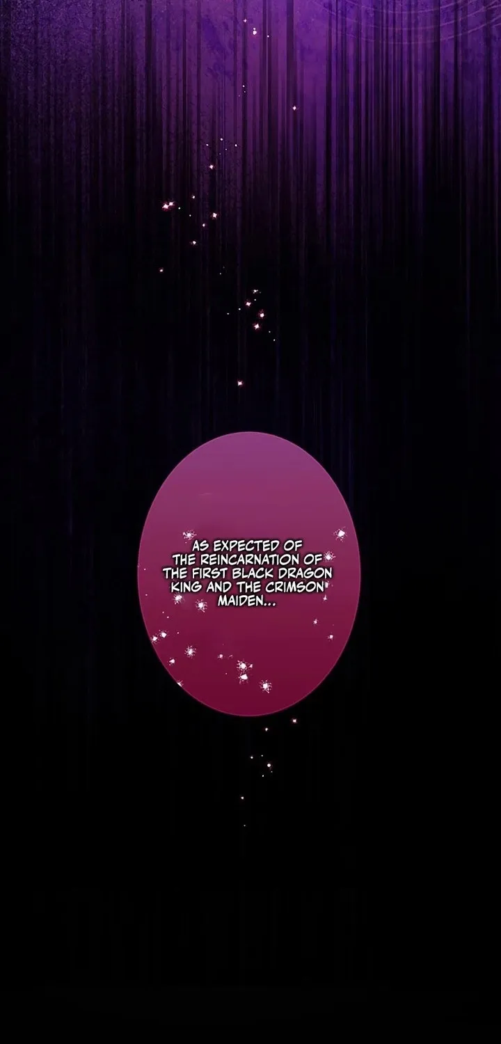 Fuguu no Hanayome wa, Utsukushiki Ryuu Ou ni Ubawareru Chapter 25 page 67 - 