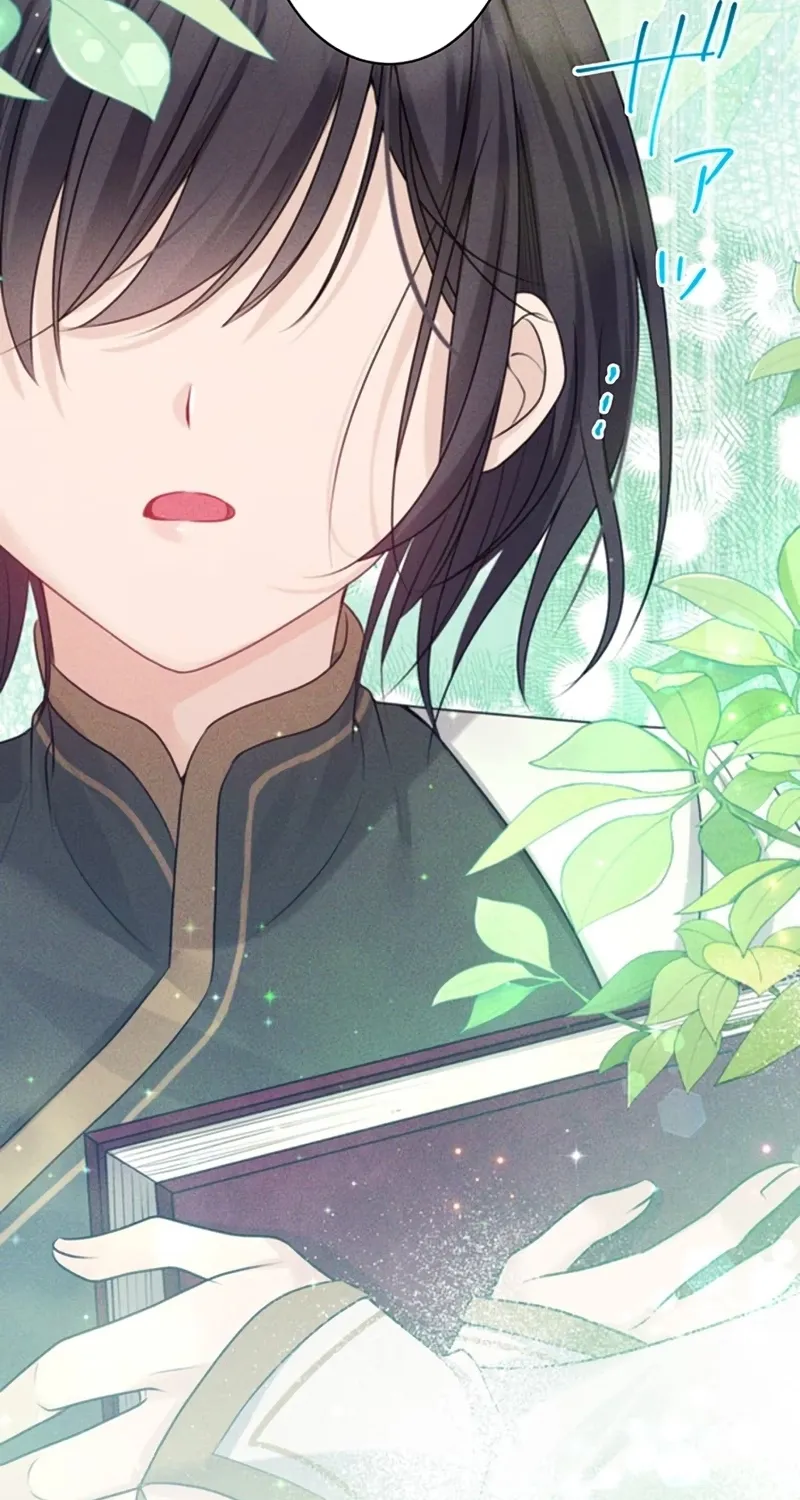 Fuguu no Hanayome wa, Utsukushiki Ryuu Ou ni Ubawareru Chapter 27 page 68 - 