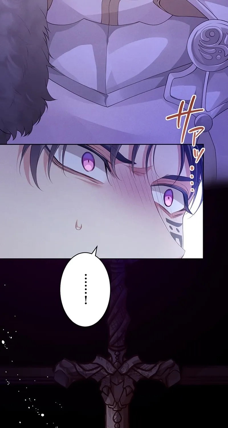 Fuguu no Hanayome wa, Utsukushiki Ryuu Ou ni Ubawareru Chapter 28 page 31 - 