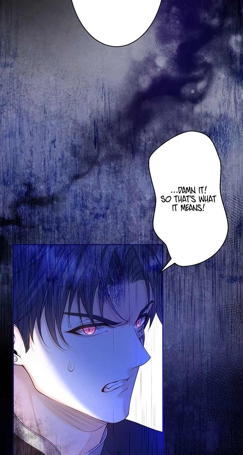 Fuguu no Hanayome wa, Utsukushiki Ryuu Ou ni Ubawareru Chapter 29 page 12 - 