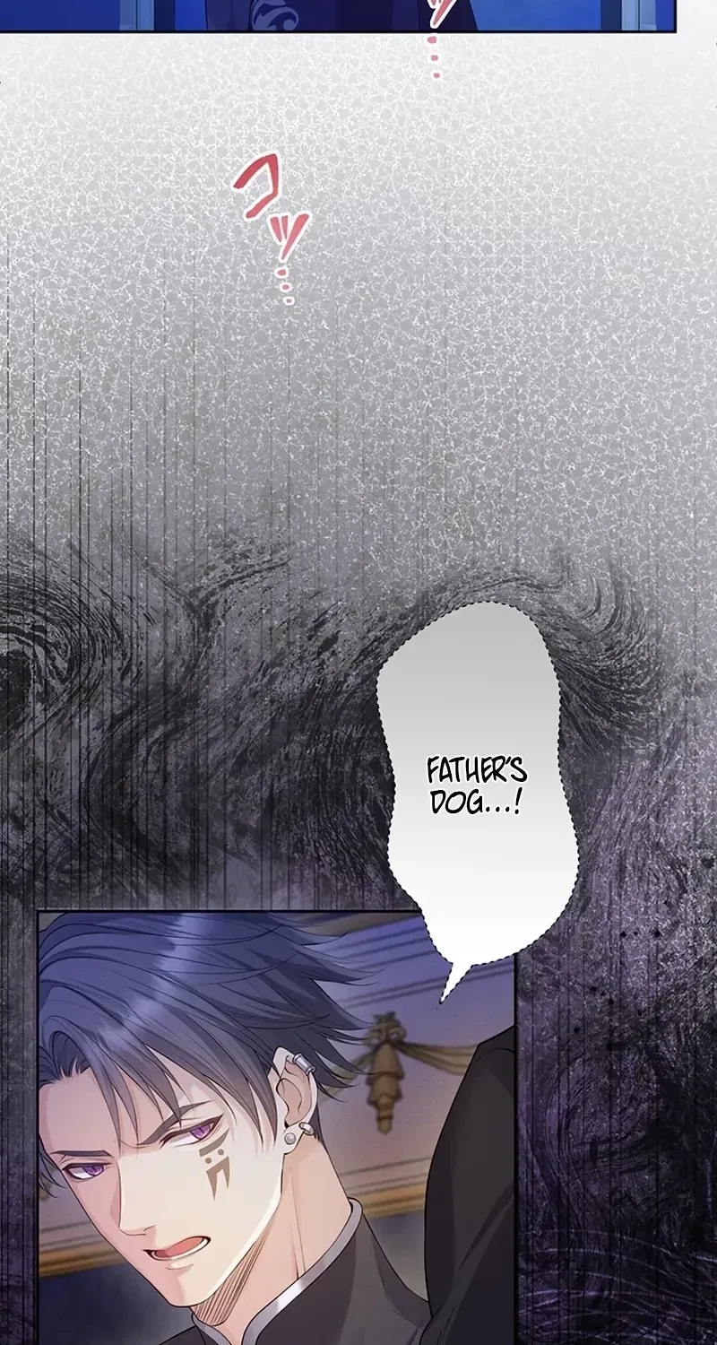 Fuguu no Hanayome wa, Utsukushiki Ryuu Ou ni Ubawareru Chapter 29 page 25 - 