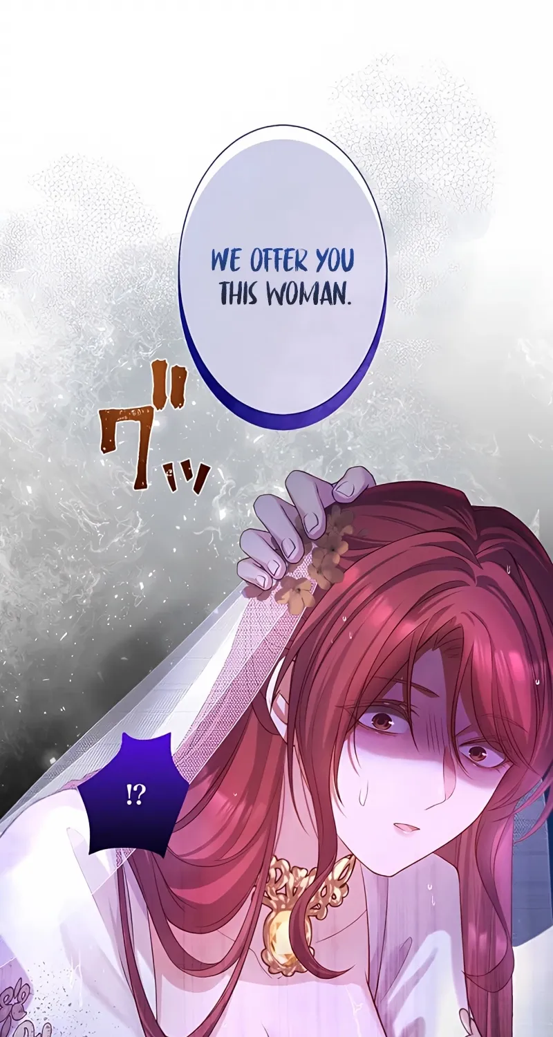 Fuguu no Hanayome wa, Utsukushiki Ryuu Ou ni Ubawareru Chapter 3 page 14 - 