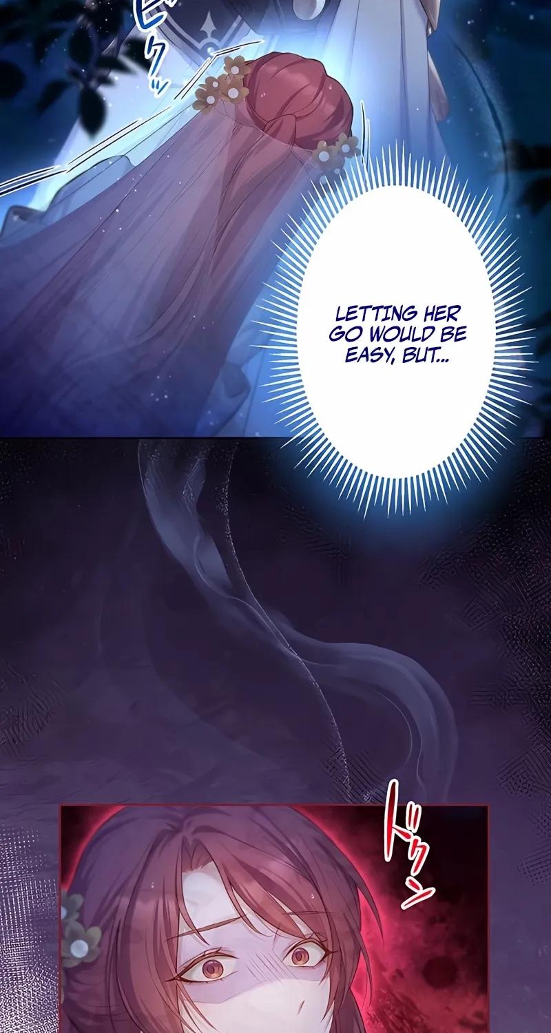 Fuguu no Hanayome wa, Utsukushiki Ryuu Ou ni Ubawareru Chapter 3 page 41 - 