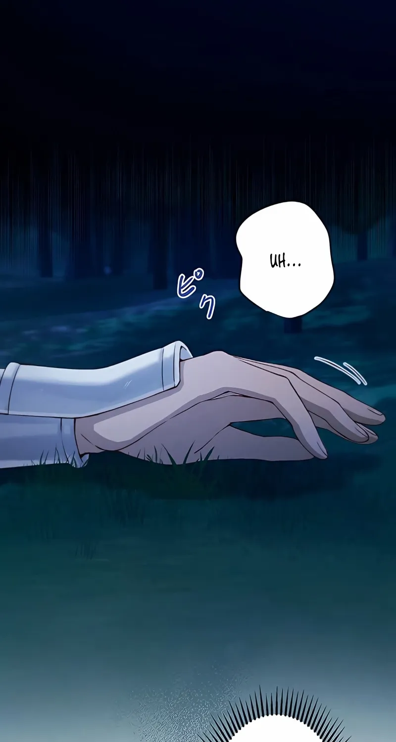 Fuguu no Hanayome wa, Utsukushiki Ryuu Ou ni Ubawareru Chapter 3 page 66 - 