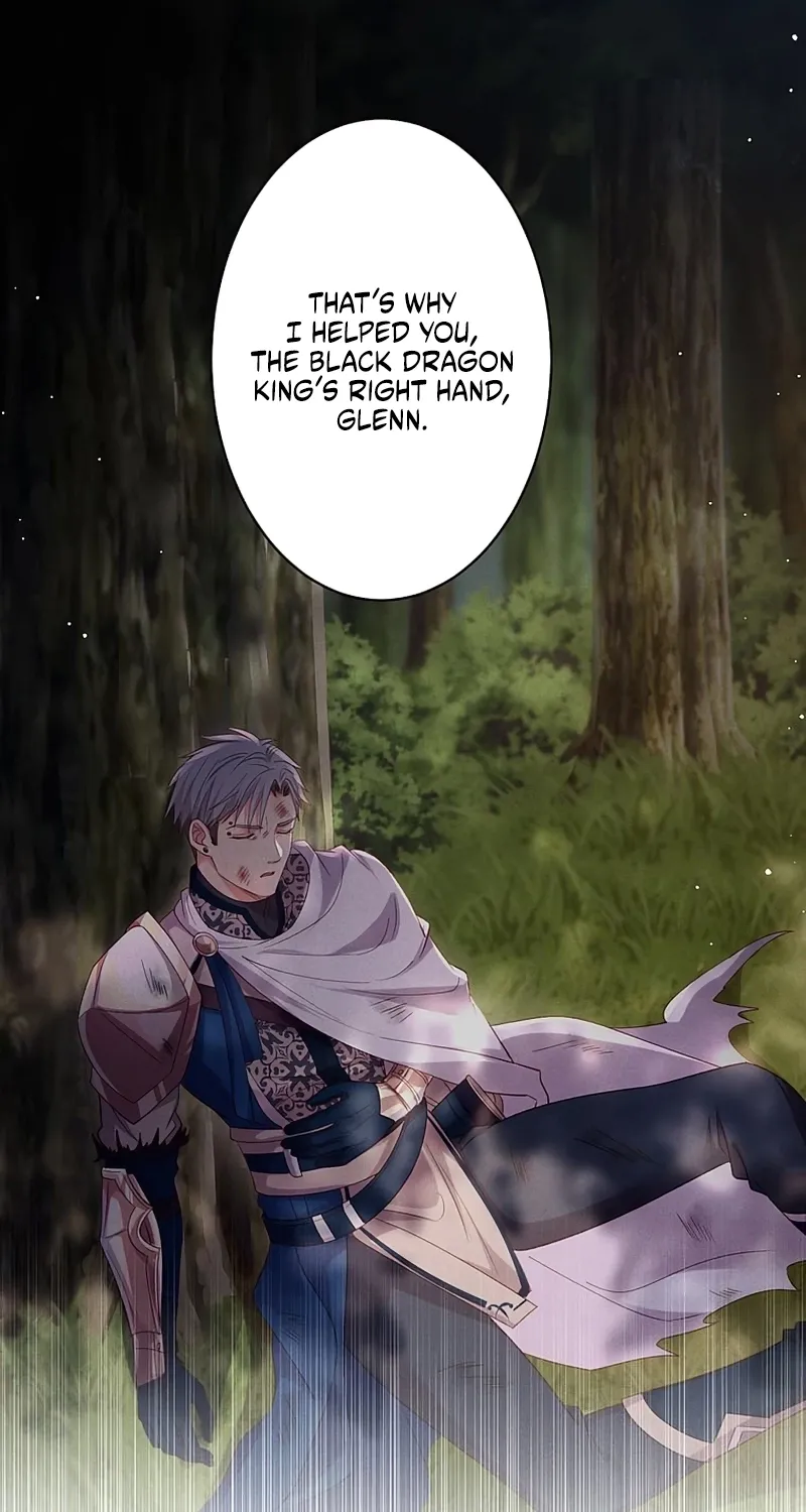 Fuguu no Hanayome wa, Utsukushiki Ryuu Ou ni Ubawareru Chapter 39 page 41 - 