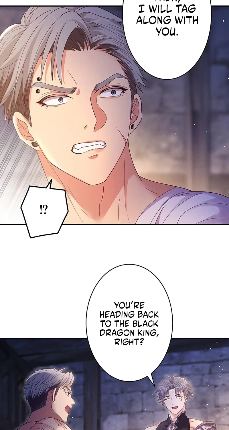 Fuguu no Hanayome wa, Utsukushiki Ryuu Ou ni Ubawareru Chapter 39 page 51 - 