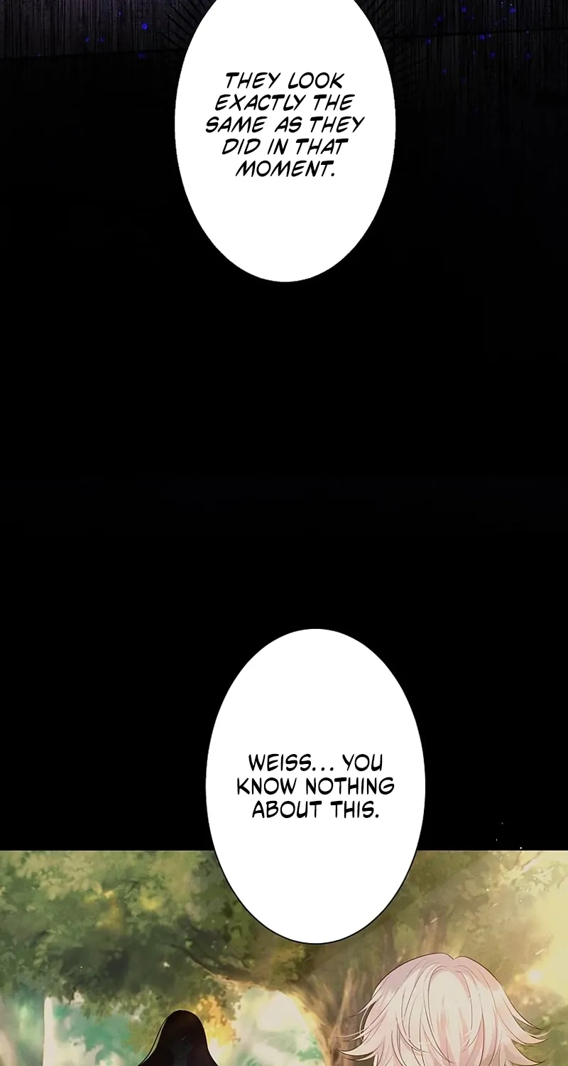 Fuguu no Hanayome wa, Utsukushiki Ryuu Ou ni Ubawareru Chapter 39 page 7 - 