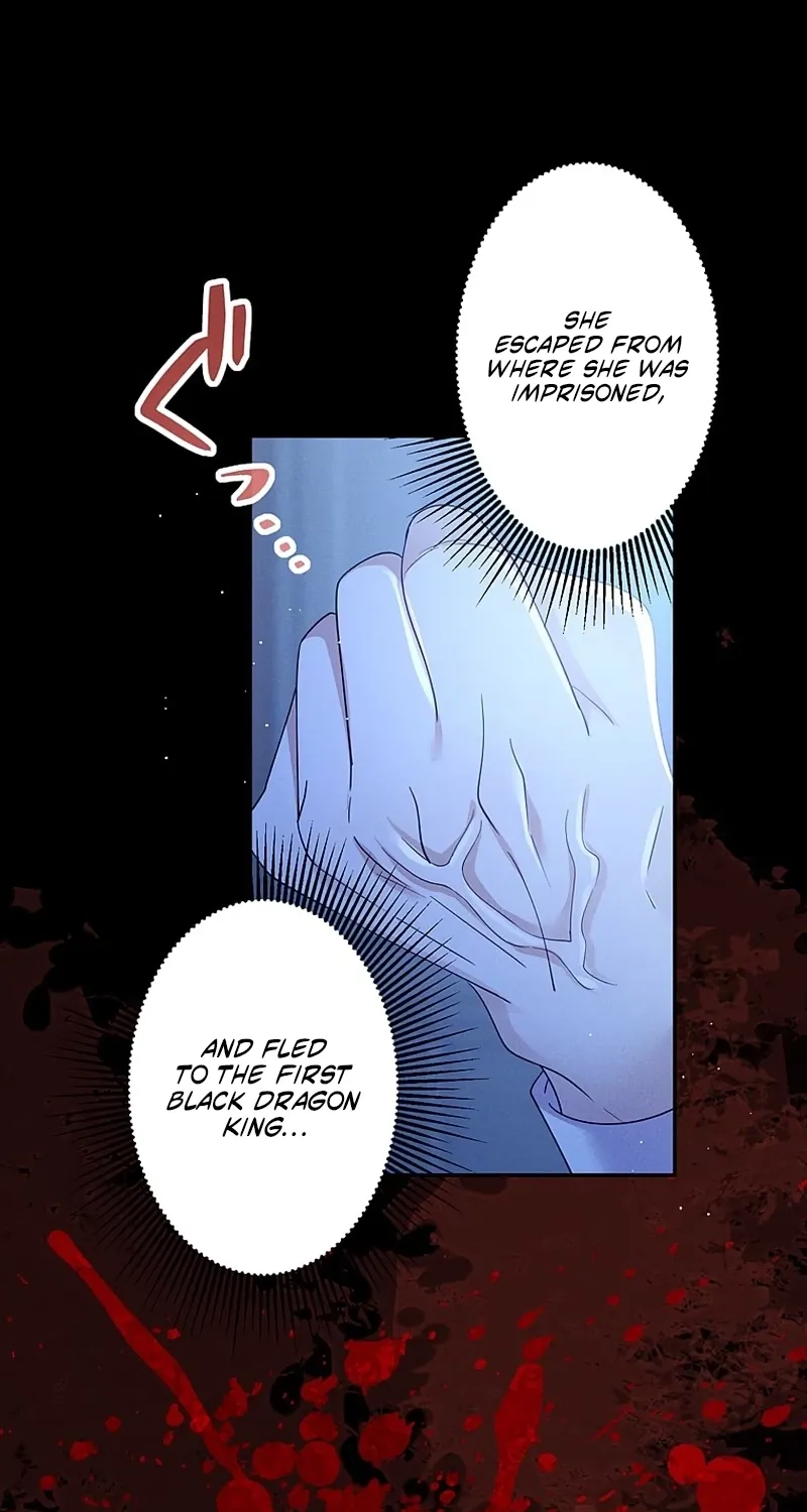 Fuguu no Hanayome wa, Utsukushiki Ryuu Ou ni Ubawareru Chapter 40 page 16 - 