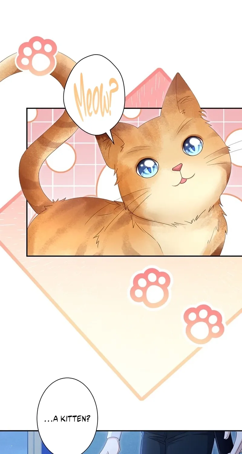 Fuguu no Hanayome wa, Utsukushiki Ryuu Ou ni Ubawareru Chapter 42 page 16 - 