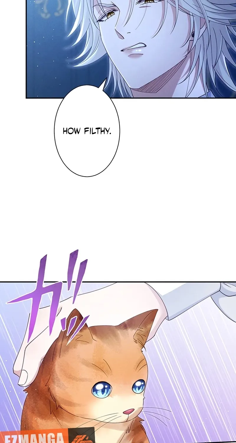 Fuguu no Hanayome wa, Utsukushiki Ryuu Ou ni Ubawareru Chapter 42 page 18 - 