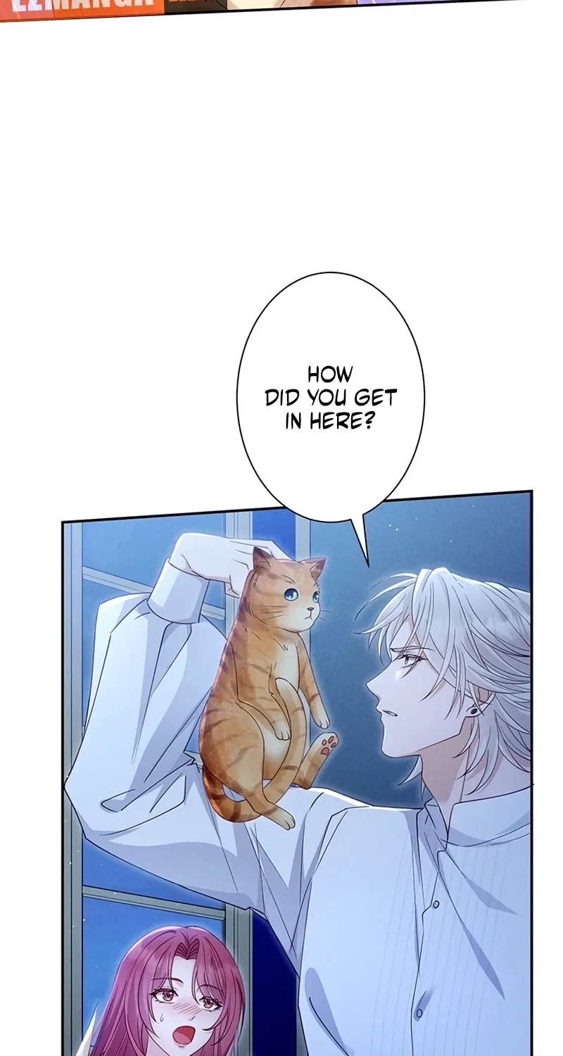 Fuguu no Hanayome wa, Utsukushiki Ryuu Ou ni Ubawareru Chapter 42 page 19 - 