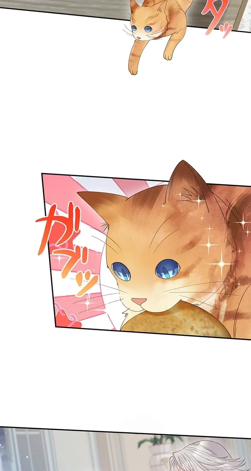 Fuguu no Hanayome wa, Utsukushiki Ryuu Ou ni Ubawareru Chapter 42 page 42 - 