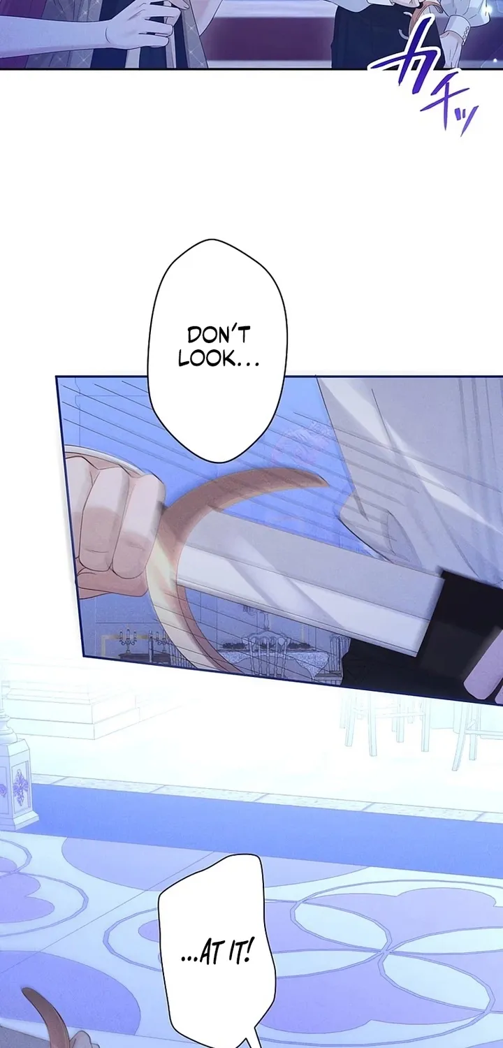 Fuguu no Hanayome wa, Utsukushiki Ryuu Ou ni Ubawareru Chapter 43 page 11 - 