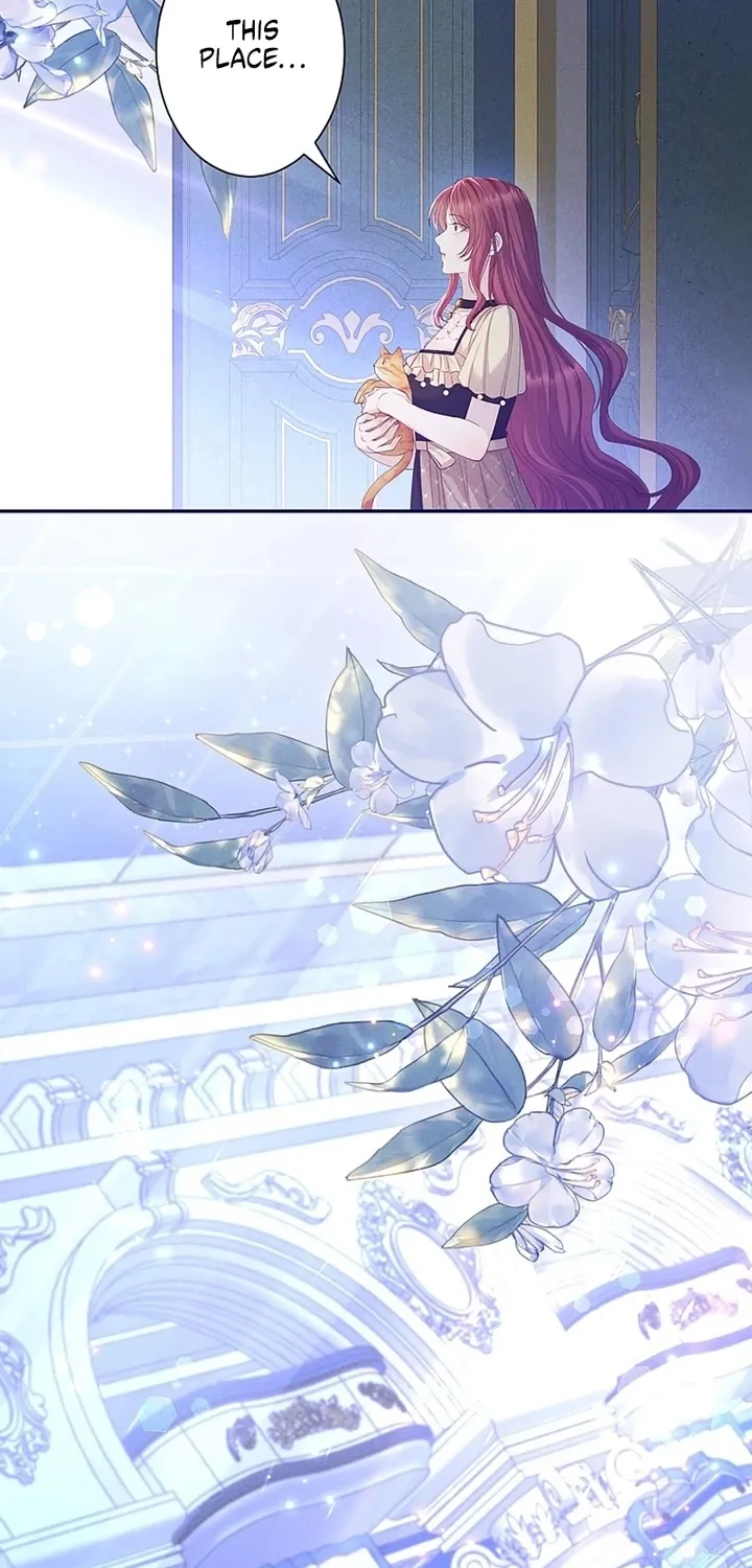 Fuguu no Hanayome wa, Utsukushiki Ryuu Ou ni Ubawareru Chapter 43 page 4 - 